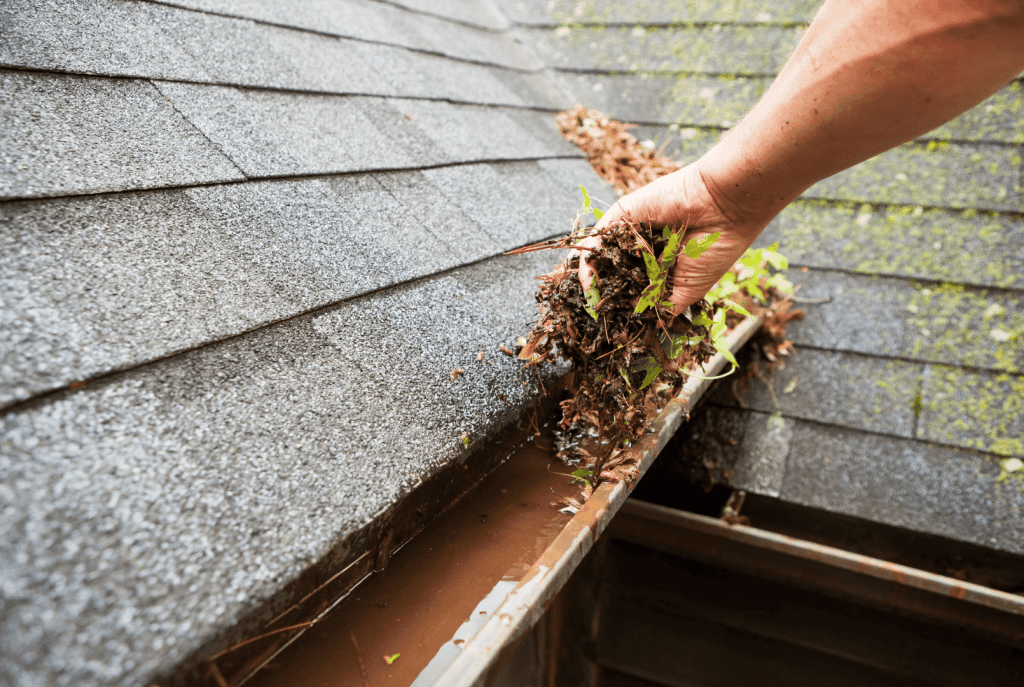 rochester gutter cleaning - ClearFlow Gutter Services